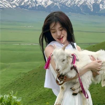 汽船威利号